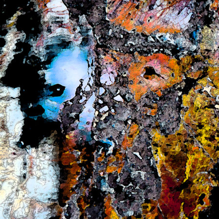 R&eacute;miniscence 11